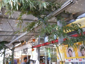 -2008�^�i�R���ʐ^�W-_21