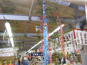-2008�^�i�R���ʐ^�W-_29