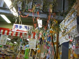 -2008�^�i�R���ʐ^�W-_31