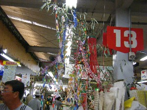 -2008�^�i�R���ʐ^�W-_37