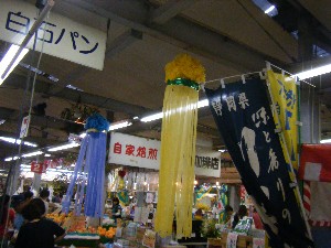 -2008�^�i�R���ʐ^�W-_38