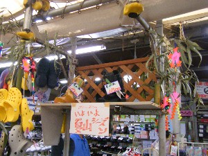 -2008�^�i�R���ʐ^�W-_43