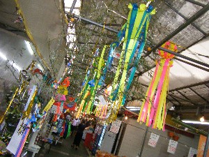 -2008�^�i�R���ʐ^�W-_45