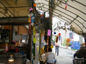 -2008�^�i�R���ʐ^�W-_46