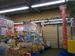 -2008�^�i�R���ʐ^�W-_48