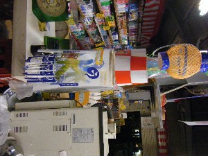 -2008�^�i�R���ʐ^�W-_49