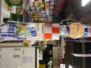 -2008�^�i�R���ʐ^�W-_50