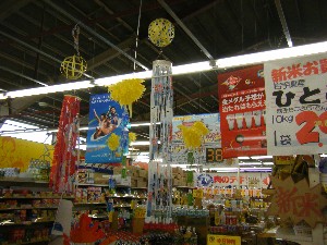 -2008�^�i�R���ʐ^�W-_53