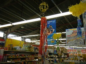 -2008�^�i�R���ʐ^�W-_54
