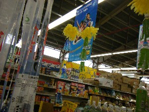 -2008�^�i�R���ʐ^�W-_56
