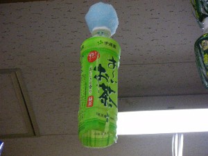 -2008�^�i�R���ʐ^�W-_58