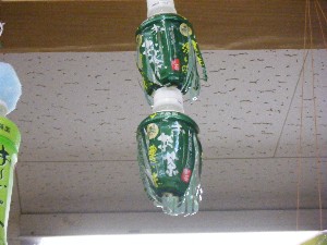 -2008�^�i�R���ʐ^�W-_59