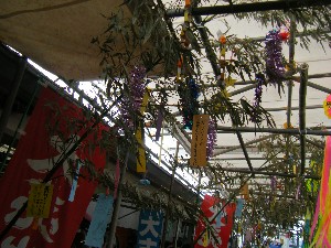 -2008�^�i�R���ʐ^�W-_70