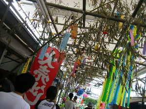 -2008�^�i�R���ʐ^�W-_71