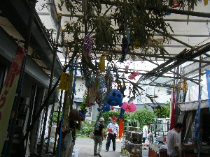 -2008�^�i�R���ʐ^�W-_73