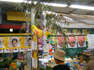 -2008�^�i�R���ʐ^�W-_112