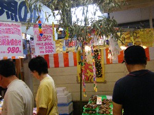 -2008�^�i�R���ʐ^�W-_132