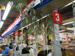 -2008�^�i�R���ʐ^�W-_152