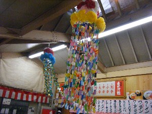 -2008�^�i�R���ʐ^�W-_178