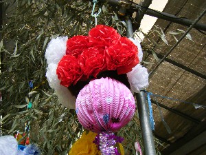 -2008�^�i�R���ʐ^�W-_190