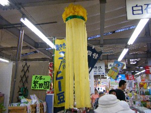 -2008�^�i�R���ʐ^�W-_193