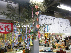 -2008�^�i�R���ʐ^�W-_202