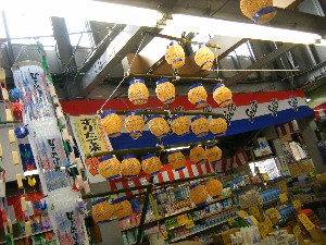 -2008�^�i�R���ʐ^�W-_203