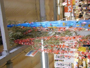 -2008�^�i�R���ʐ^�W-_205