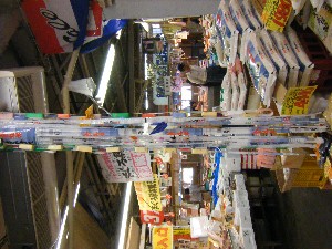 -2008�^�i�R���ʐ^�W-_208