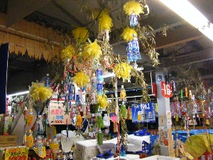 -2008�^�i�R���ʐ^�W-_213