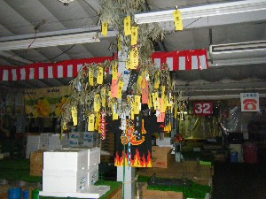 -2008�^�i�R���ʐ^�W-_220