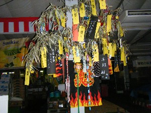 -2008�^�i�R���ʐ^�W-_221