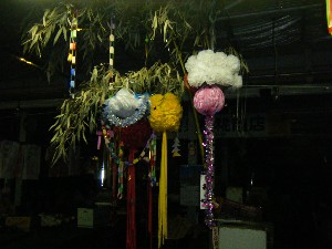 -2008�^�i�R���ʐ^�W-_225