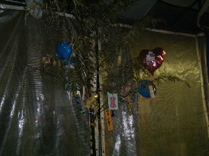 -2008�^�i�R���ʐ^�W-_226