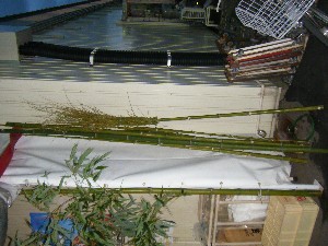 -2008�^�i�R���ʐ^�W-_230