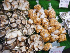 2009/01/10  �{���̔����ł�_2