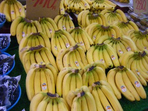 2009/01/10  �{���̔����ł�_4