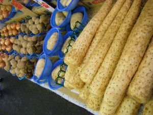 2009/01/10  �{���̔����ł�_5