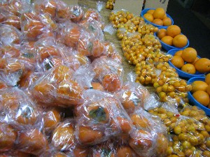 2009/01/10  �{���̔����ł�_6