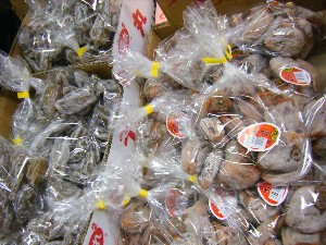 2009/01/10  �{���̔����ł�_7