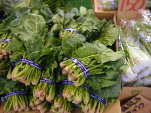 2009/01/10  �{���̔����ł�_11