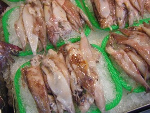 2009/01/10  �{���̔����ł�_17