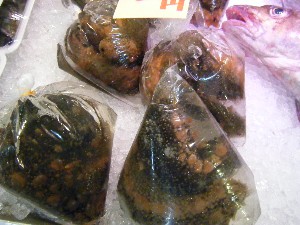 2009/01/10  �{���̔����ł�_18