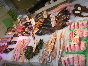2009/01/10  �{���̔����ł�_20
