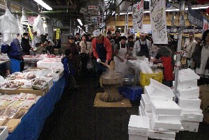 2009/01/10-11 �R�`�����̎q�`������_7