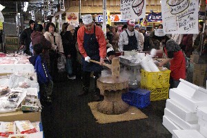 2009/01/10-11 �R�`�����̎q�`������_8