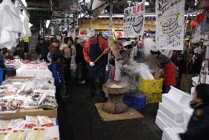 2009/01/10-11 �R�`�����̎q�`������_9