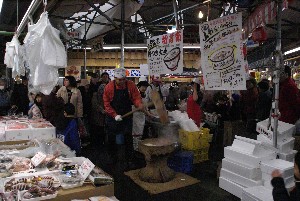 2009/01/10-11 �R�`�����̎q�`������_11