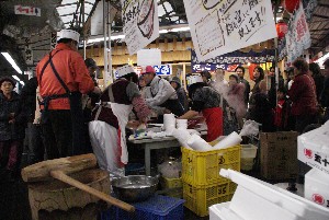 2009/01/10-11 �R�`�����̎q�`������_26