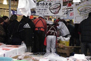 2009/01/10-11 �R�`�����̎q�`������_27